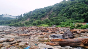 Read more about the article When floating timber was trade, folklore, lifeblood